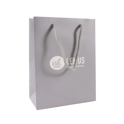 Eco-Friendly Custom Kraft Shopping Gift Bag