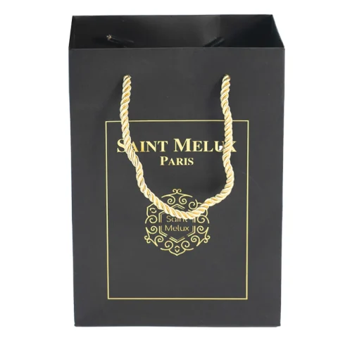Luxury Boutique Paper Bag for Clothing & Shoes