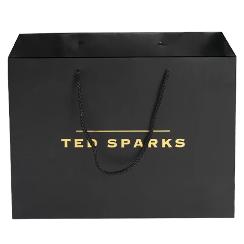 Luxury Shoe & Clothing Boutique Paper Bag with Custom Logo