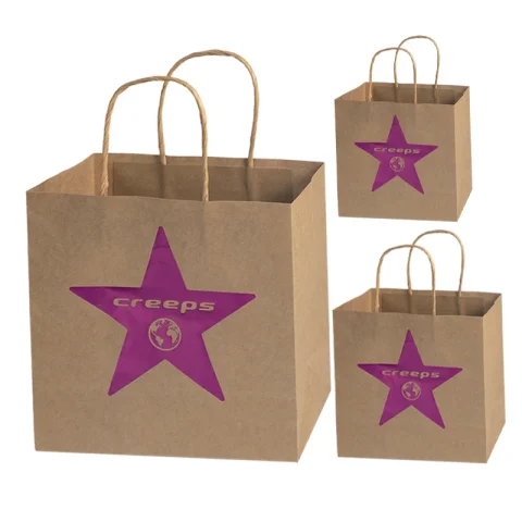 Small Kraft Paper Gift Bags with Handles
