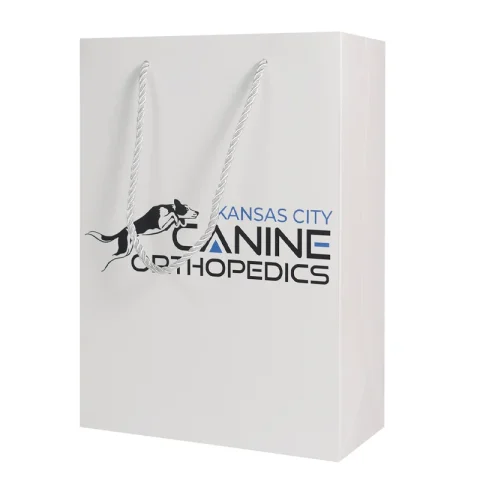 White Custom Printed Retail Paper Bag for Clothing & Shoes
