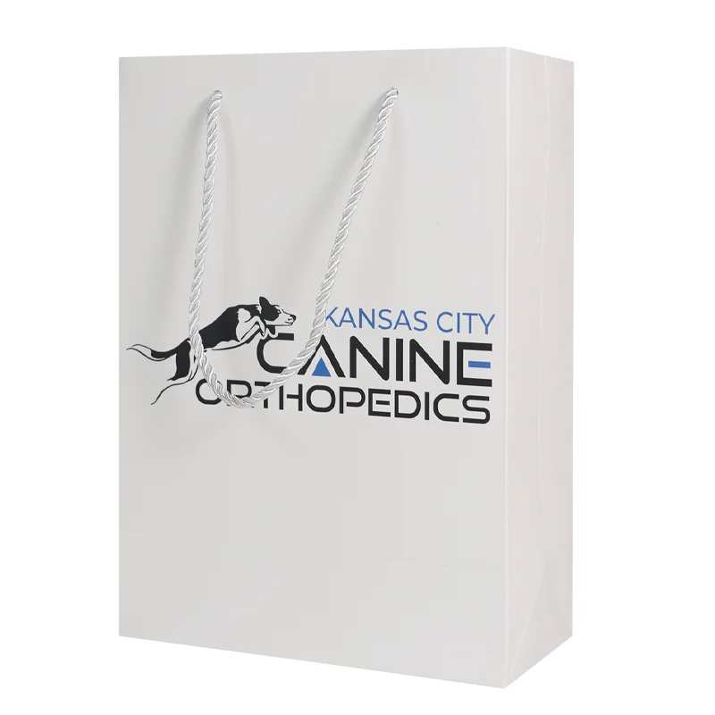 White Custom Printed Retail Paper Bag for Clothing & Shoes